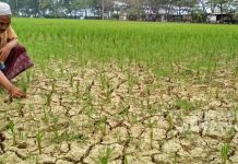 Kekeringan Lebih Tenang Dihadapi Dengan Asuransi