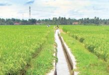 Petani Diimbau Manfaatkan Sarana yang Tersedia