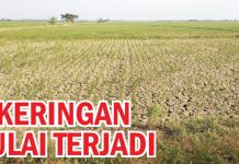 Kekeringan Mulai Terjadi