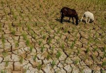 PSP Minta Petani Jaga Lahan dari Kekeringan