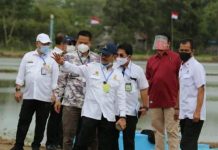 Mentan: Kawasan Food Estate Terapkan Teknologi Pertanian Modern