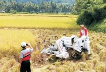 Bantuan Alsintan Dorong Petani Manfaatkan Potensi Pertanian