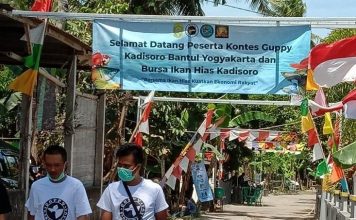 Menggairahkan Wisata Dengan Ikan Hias