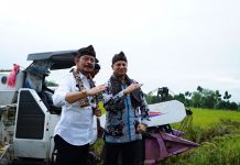 Mentan Pastikan Stok Beras Indonesia Aman