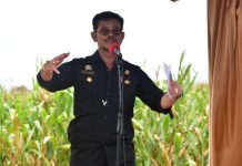 Kementan Ajak Stakeholder Awasi Distribusi Pupuk Subsidi