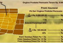 Kementan Sarankan Petani Ikut Asuransi