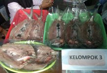Bandeng dan Tahun Baru Imlek
