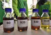 Biodiesel dan Mahalnya Minyak Goreng