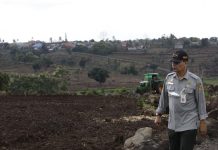 Realokasi, Solusi Atasi Kelangkaan Pupuk Subsidi