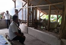 UPPO Tingkatkan Penggunaan Pupuk Organik