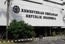 BPS: Sektor Pertanian Berkontribusi pada PDB Triwulan IV-2021