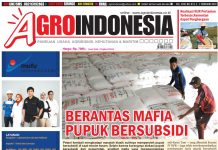 AgroIndonesia, Edisi No.813 (2-7 Februari 2022)