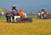 Petani Dukung Pemanfaatan KUR Pertanian