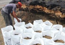 Pemda Dorong Petani Gunakan Pupuk Organik
