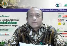 Potensi Lonjakan Kontribusi Multiusaha Kehutanan Bagi Kesejahteraan Bangsa