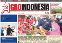 AgroIndonesia, Edisi No. 818 (15-21 Maret 2022)