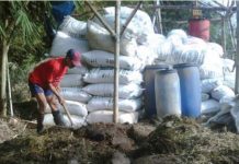 Penggunaan Pupuk Organik akan Digenjot