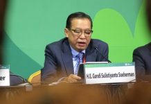 Indonesia FoLU Net Sink 2030, Tekan Laju Deforestasi untuk Pembangunan Berkelanjutan