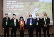 Indonesia Ajak ASEAN Bersama Kelola Gambut Berkelanjutan