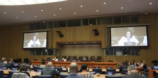 Penguatan Kerjasama Global Jawab Tantangan Pengelolaan Hutan Dunia