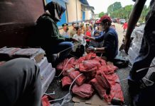 Bulog Yakin Daging India Aman
