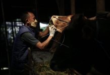 Kerugian Triliunan Rupiah Mengancam