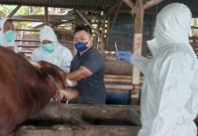 Harapan Hadirnya Veterinary Statutory Body (VSB) di Indonesia