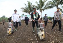 Kinerja Pertanian Mengkilap Berkat Jurus 5 Cara Bertindak