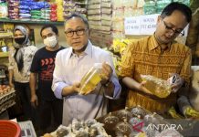 Amankan Kebutuhan Nasional, Volume Ekspor CPO Dipangkas