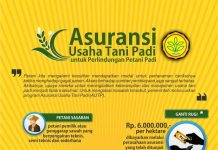 Jateng dan Jatim Catat Realisasi AUTP Tertinggi