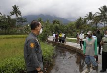 Program PSP Dukung Peningkatan Produksi Pangan Nasional