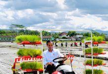 Presiden: Terima Kasih Petani dan Pak Mentan