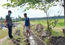 RJIT Tingkatkan Produktivitas Pertanian