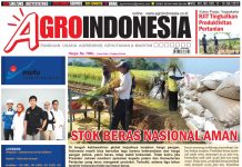 AgroIndonesia, Edisi 830 (12-18 Juli 2022)