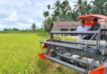 BULOG Dukung Perpres Tentang Cadangan Pangan Pemerintah