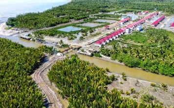 Membangun ‘Shrimp Estate’ di Kawasan Transmigrasi Tanjung Cina