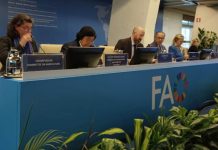 COFO26 FAO, Menteri Siti Jelaskan FOLU Net Sink Sokong Kesejahteraan Lewat Perhutanan Sosial