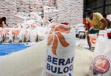BULOG Jual Beras Impor Langsung ke Pedagang