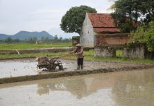 Studi Luas Lahan Sawah Purwakarta Ungkap Fakta Mengkhawatirkan, Tren Penyusutan Terus Berlanjut