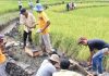 JUT Terbangun, Petani Bisa Hemat Ongkos Produksi