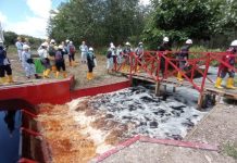 Perwakilan Negara ASEAN Berkunjung ke PT Mayangkara Tanaman Industri, Lihat Praktik Pengelolaan Gambut Berkelanjutan