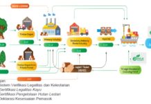Transformasi SVLK, Makin Tegas Soal Kelestarian
