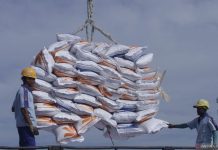 Harga Beras Asia Terus Naik, Stok Beras India Melimpah