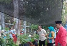 Inovasi Penerapan Urban Farming dan Urban Agriculture di Kota