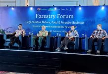 KADIN-APHI Gelar Forestry Forum, Dorong Implementasi Multi Usaha Kehutanan