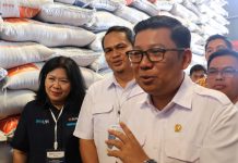 Tiga Jurus BULOG Seimbangkan Harga Beras