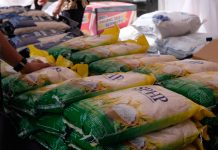 BULOG Tidak Lagi Pakai Brand ‘Beras Kita’ untuk SPHP
