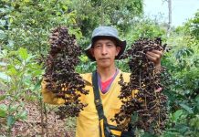 Menyikapi Perubahan UU Konservasi Sumber Daya Alam Hayati dan Ekosistemnya