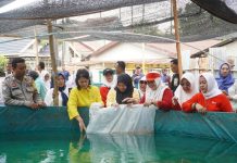 IKBI dan PTPN IV Regional 4 Sebar Bibit Ikan dan Edukasi Pembuatan Biopori
