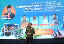 Menhut Targetkan Penanaman Mangrove 15.387 Hektare di 4 Provinsi Selama 2025 oleh